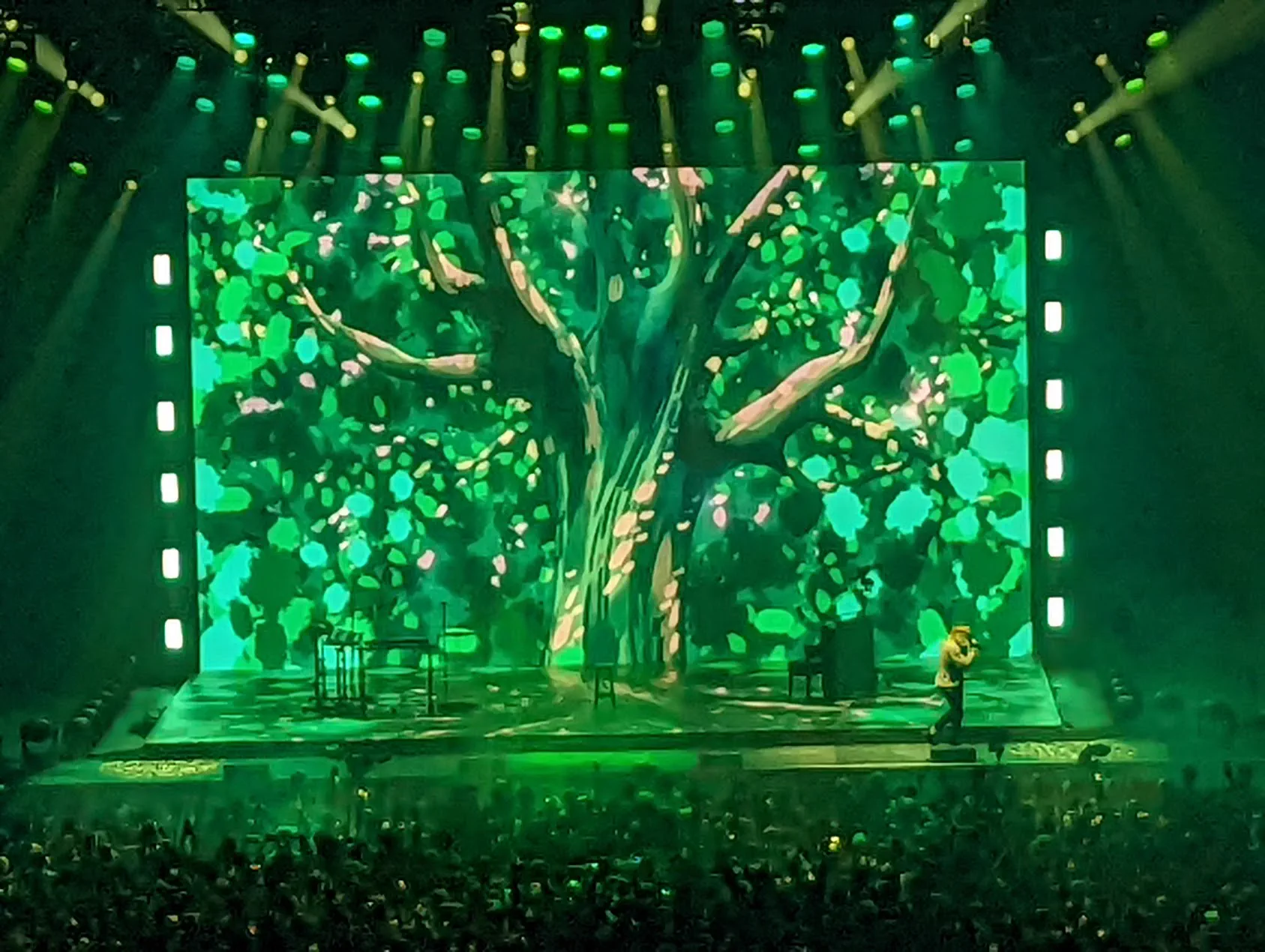 Arena show